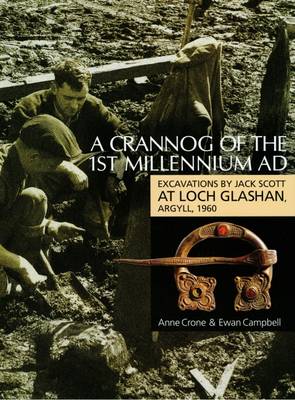 Book cover for A Crannog of the First Millenium AD