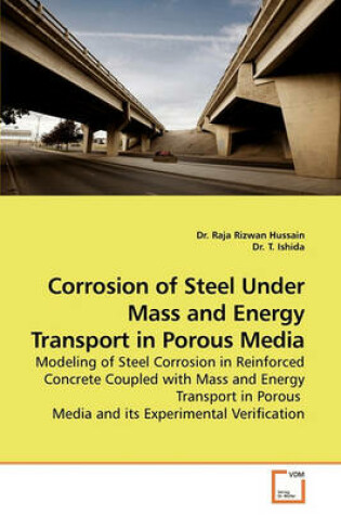 Cover of Corrosion of Steel Under Mass and Energy Transport in Porous Media