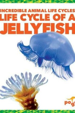 Cover of Life Cycle of a Jellyfish