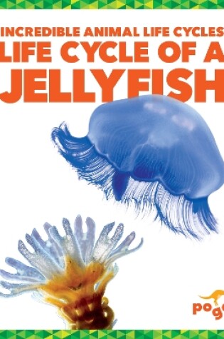 Cover of Life Cycle of a Jellyfish