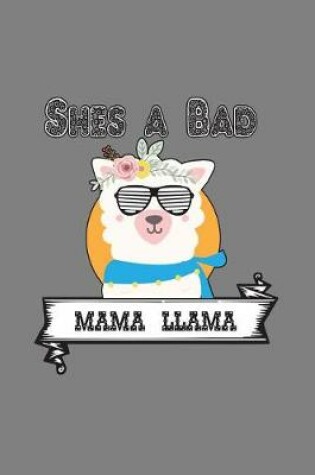 Cover of she's A Bad Mama Llama