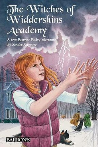 Cover of The Witches of Widdershins Academy