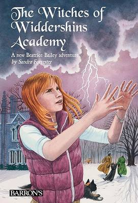Book cover for The Witches of Widdershins Academy