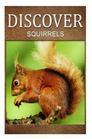 Cover of Squirrel - Discover