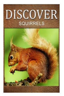 Book cover for Squirrel - Discover