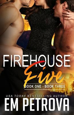 Book cover for Firehouse 5 Book One - Book Three