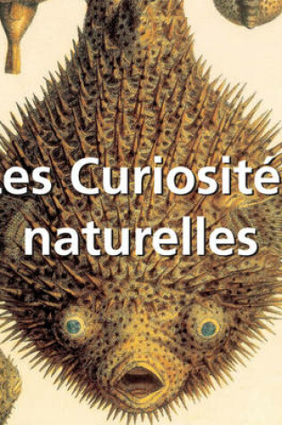Cover of Les Curiosités naturelles