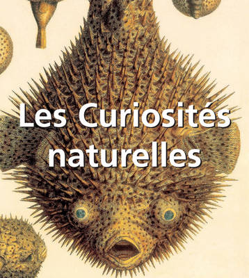Book cover for Les Curiosités naturelles