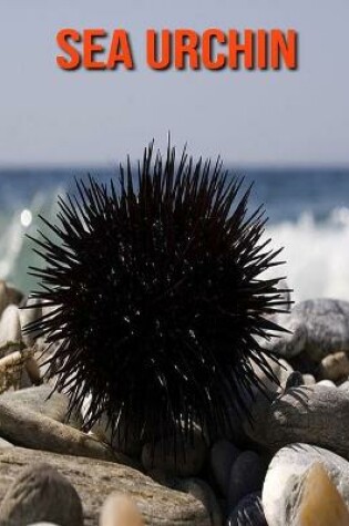 Cover of Sea Urchin