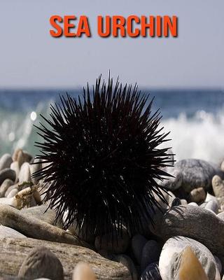 Book cover for Sea Urchin