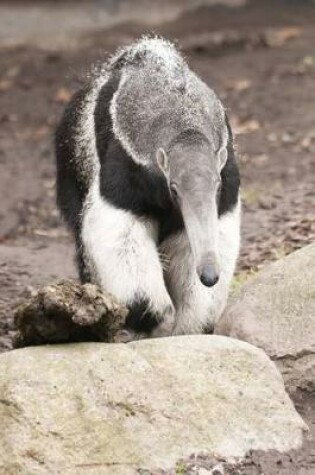 Cover of Giant Anteater (Myrmecophaga Tridactyla) Journal