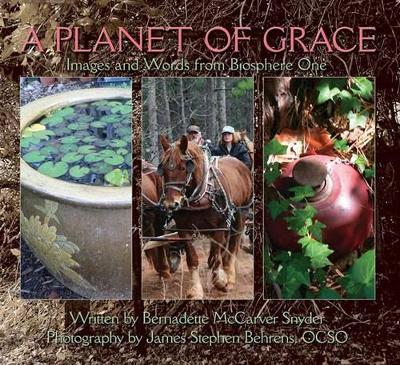 Book cover for A Planet of Grace