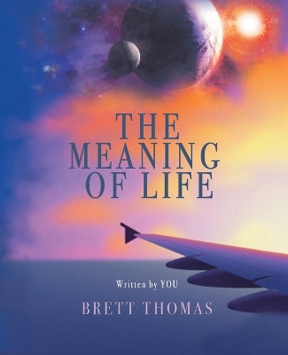 Book cover for The Meaning of Life