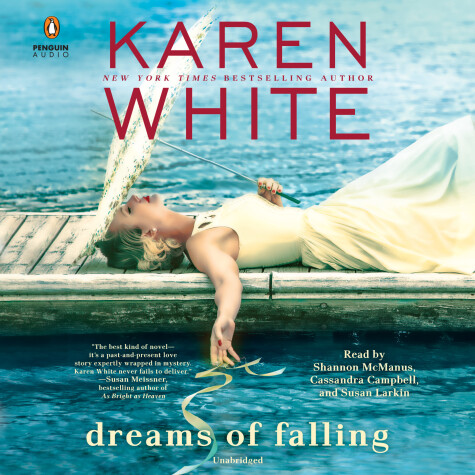 Book cover for Dreams of Falling