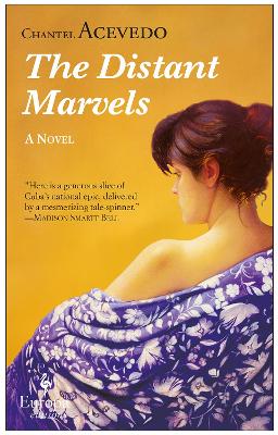 Book cover for The Distant Marvels