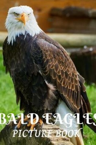 Cover of Bald Eagles Picture Book