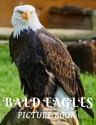 Book cover for Bald Eagles Picture Book