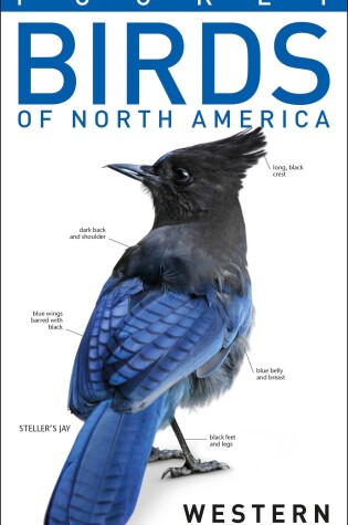 Cover of American Museum of Natural History: Pocket Birds of North America, Western Region