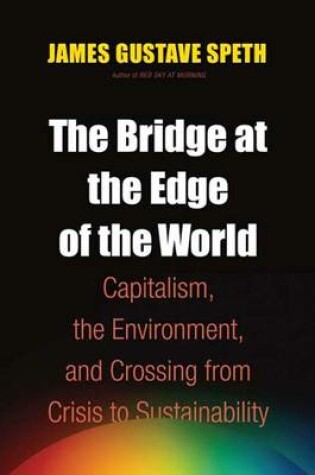 Cover of The Bridge at the Edge of the World