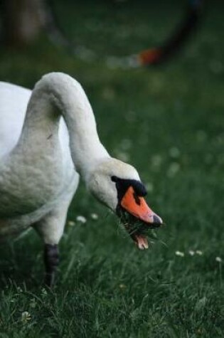 Cover of Notebook Swan Eating Grass