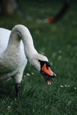 Book cover for Notebook Swan Eating Grass