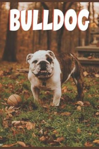 Cover of Bulldog 2022 Calendar