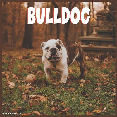 Book cover for Bulldog 2022 Calendar