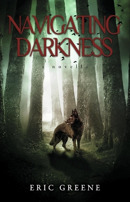 Cover of NAVIGATING DARKNESS