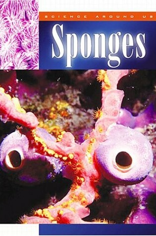 Cover of Sponges