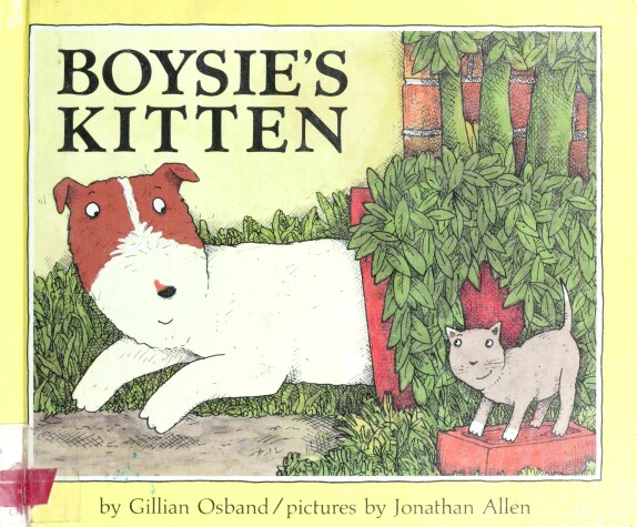 Book cover for Boysie's Kitten