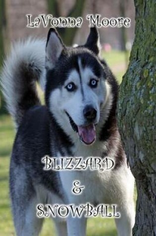 Cover of Blizzard & Snowball