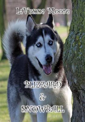 Book cover for Blizzard & Snowball