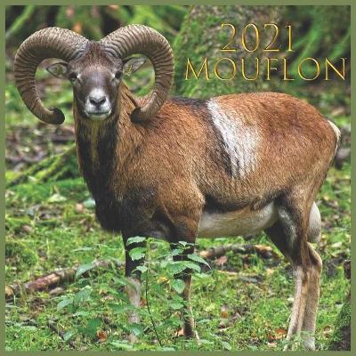 Book cover for mouflon