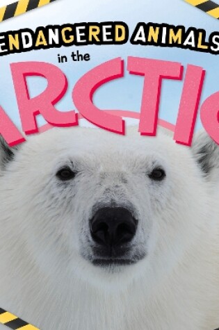 Cover of In the Arctic