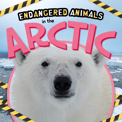 Book cover for In the Arctic