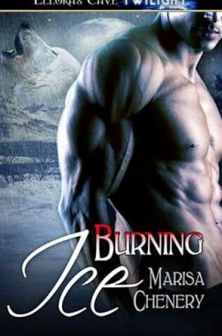 Cover of Burning Ice