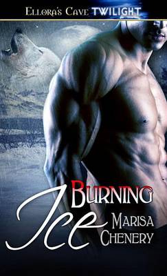 Book cover for Burning Ice