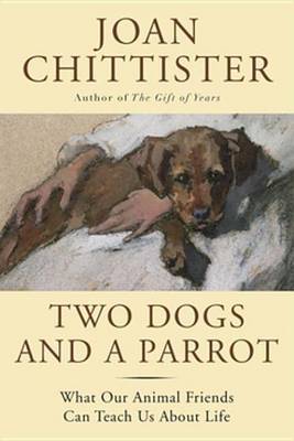 Book cover for Two Dogs and a Parrot