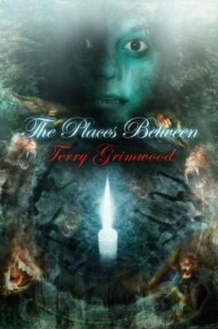Cover of The Places Between