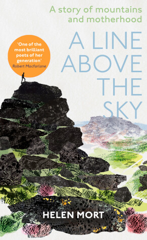 Book cover for A Line Above the Sky