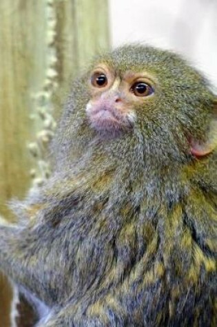 Cover of Cute Little Pygmy Marmoset Journal