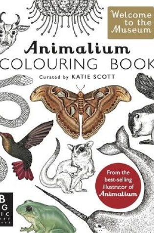 Cover of Animalium Colouring Book