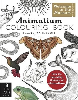 Book cover for Animalium Colouring Book