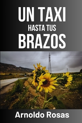 Book cover for Un taxi hasta tus brazos