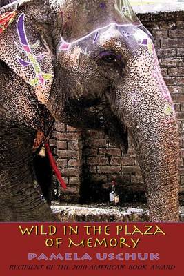 Book cover for Wild in the Plaza of Memory