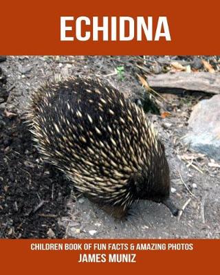 Cover of Echidna