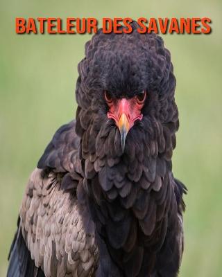 Book cover for Bateleur des Savanes