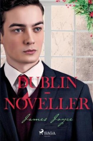 Cover of Dublin-noveller