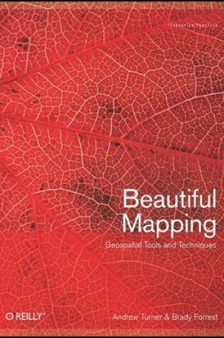 Cover of Beautiful Mapping