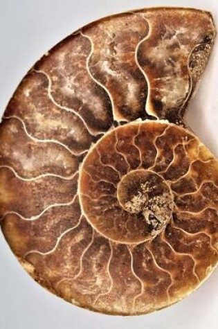 Cover of Blank Journal - Fibonacci Ammonite Shell